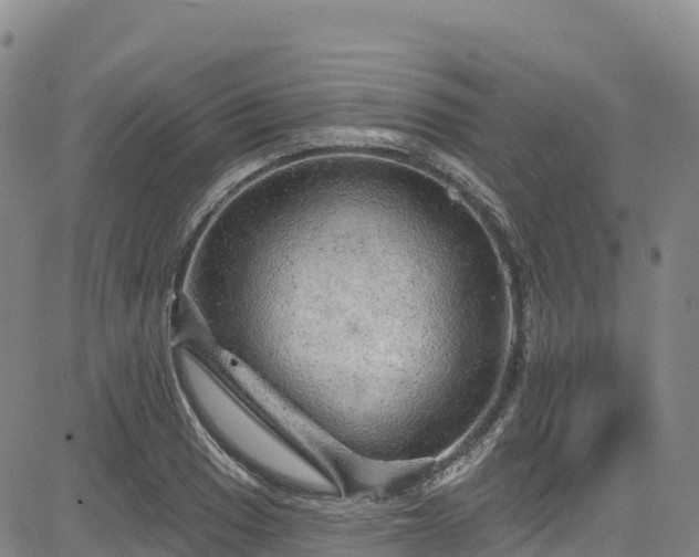 X0000085061033200703121520