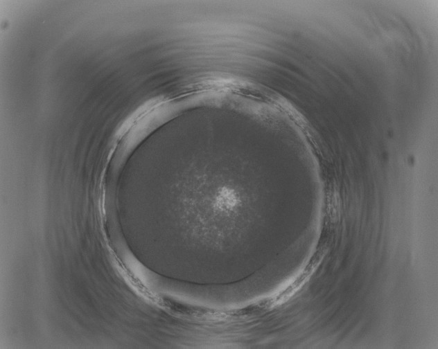 X0000085061034200703121520