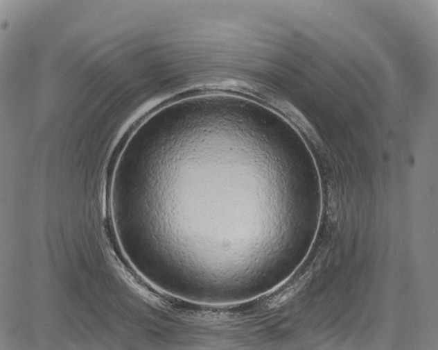 X0000085061036200703121520