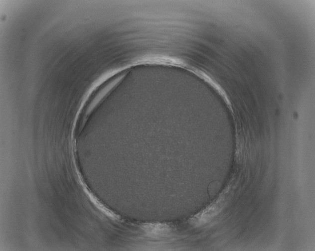 X0000085061037200703121520