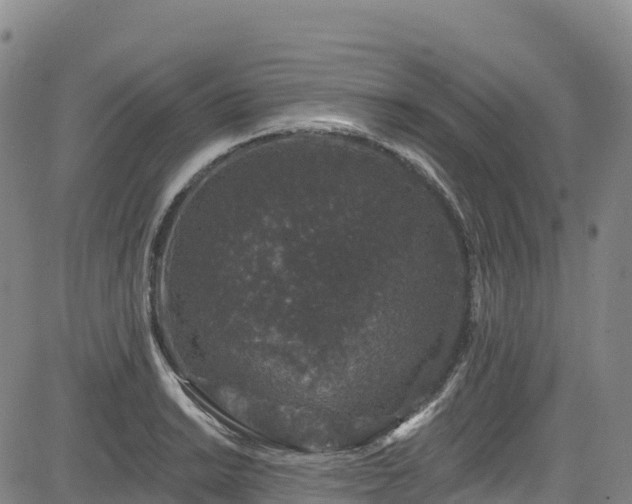 X0000085061038200703121520