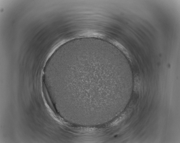 X0000085061039200703121520