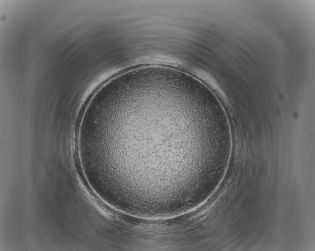 X0000085061040200703121520