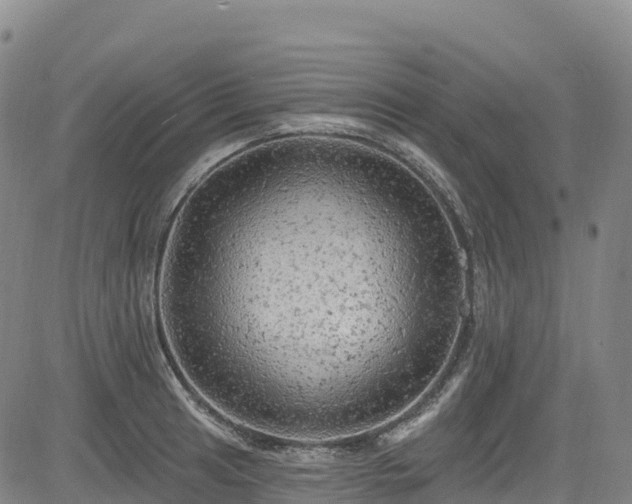 X0000085061041200703121520