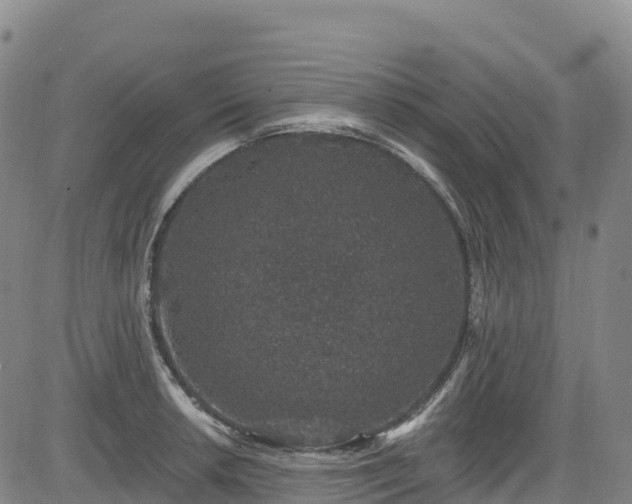 X0000085061042200703121520