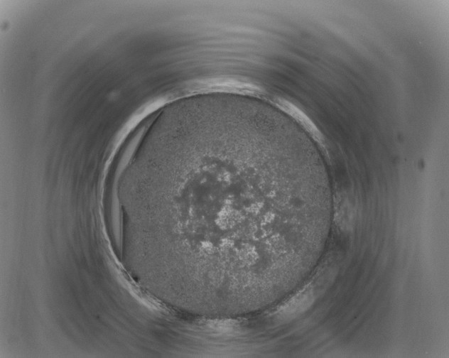 X0000085061043200703121520