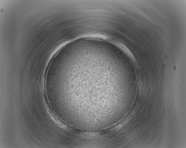 X0000085061044200703121520