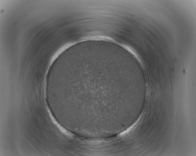 X0000085061046200703121520