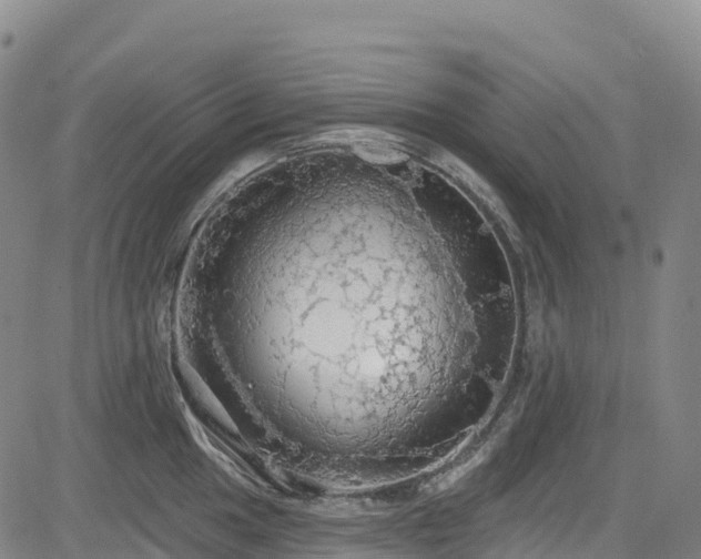 X0000085061049200703121520