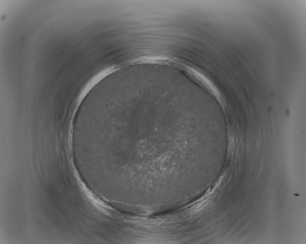 X0000085061050200703121520