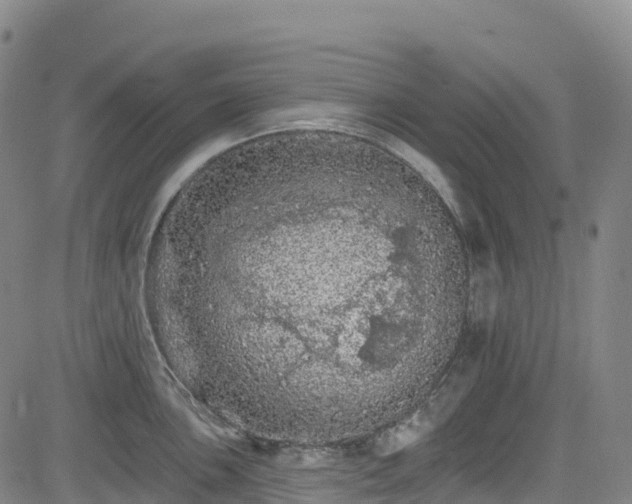 X0000085061051200703121520