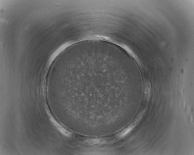 X0000085061054200703121520