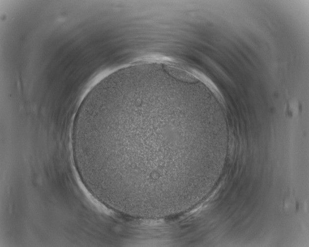 X0000085061055200703121520