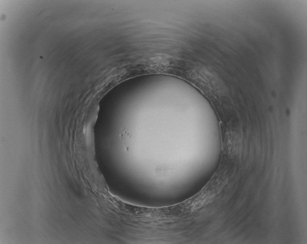 X0000085061057200703121519