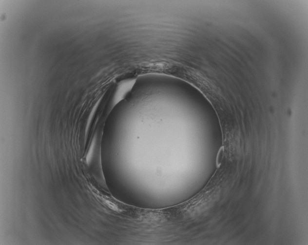 X0000085061058200703121519