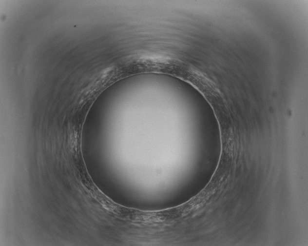 X0000085061061200703121519