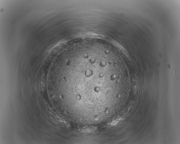 X0000085061063200703121519