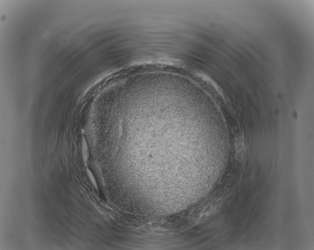 X0000085061064200703121519