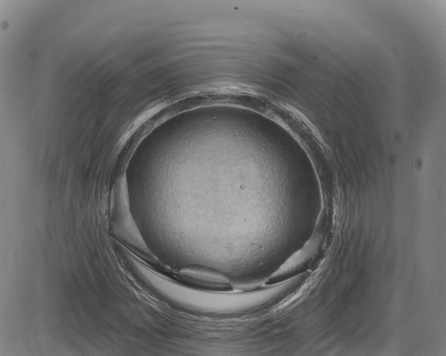 X0000085061065200703121519