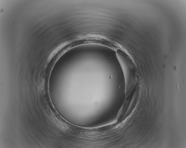 X0000085061066200703121519