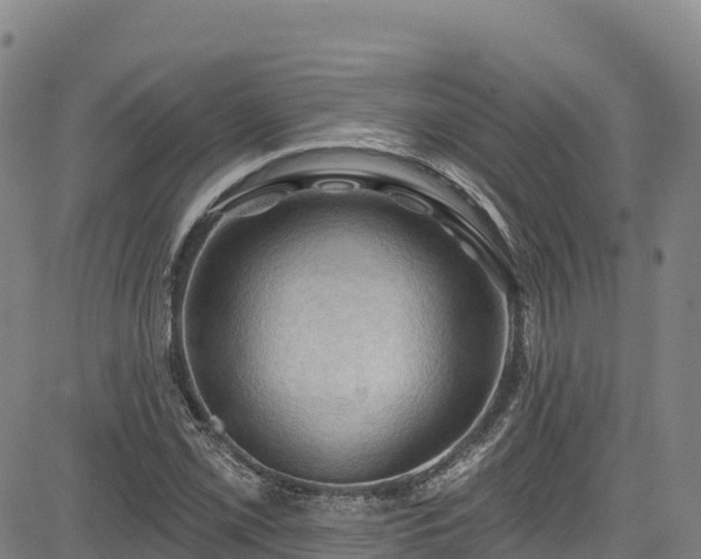 X0000085061069200703121519