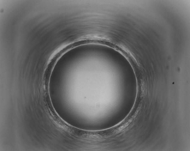 X0000085061070200703121519