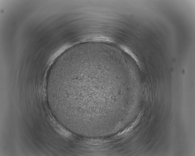 X0000085061071200703121519