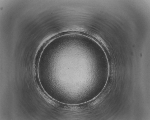 X0000085061072200703121519