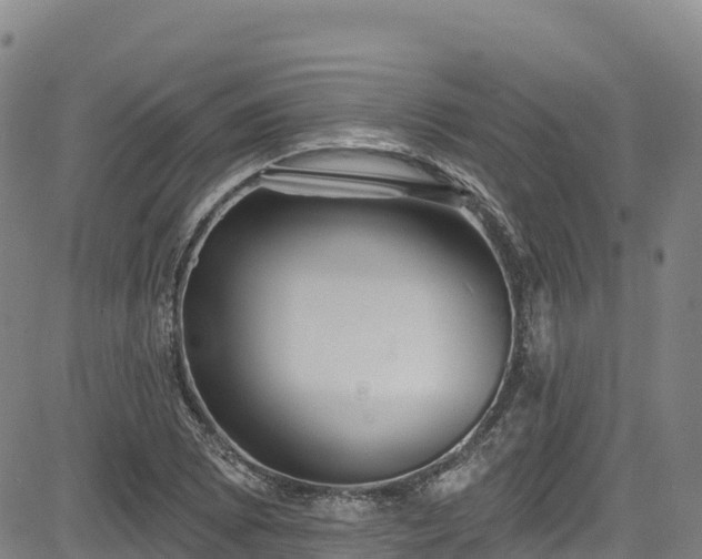 X0000085061073200703121519