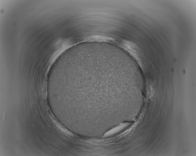 X0000085061075200703121519