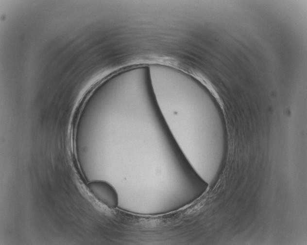 X0000085061080200703121519