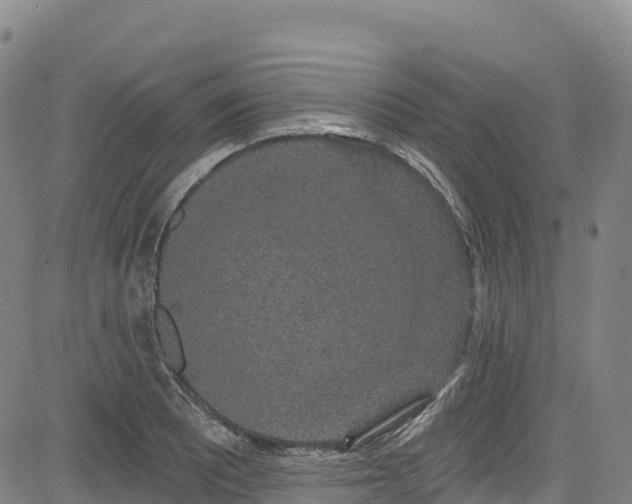 X0000085061081200703121519