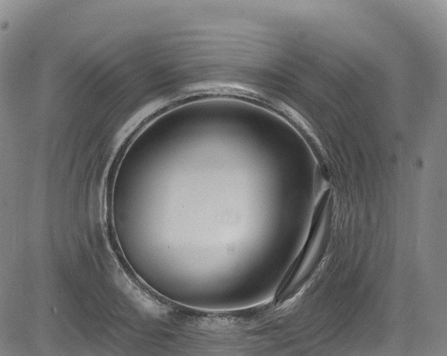 X0000085061082200703121519