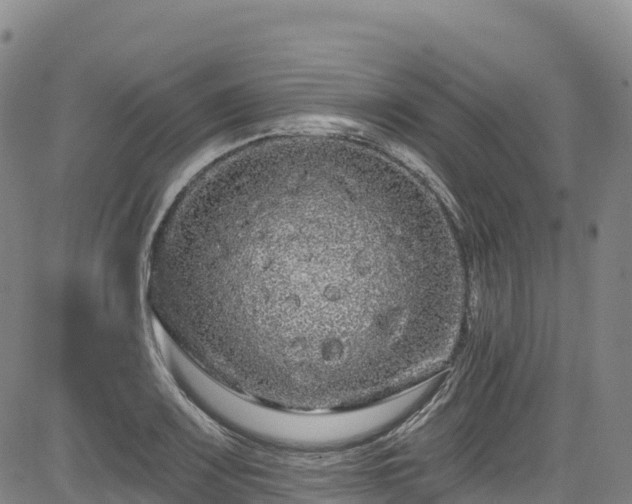 X0000085061083200703121519