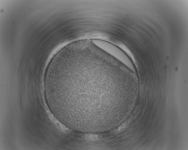 X0000085061088200703121519