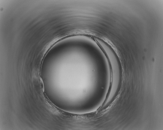 X0000085061089200703121519