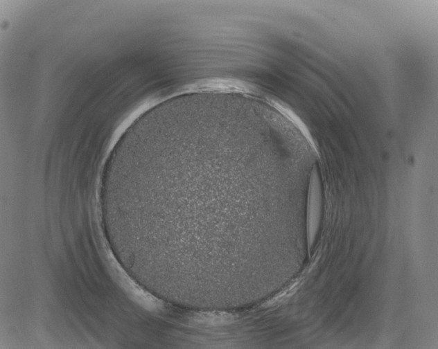 X0000085061091200703121519