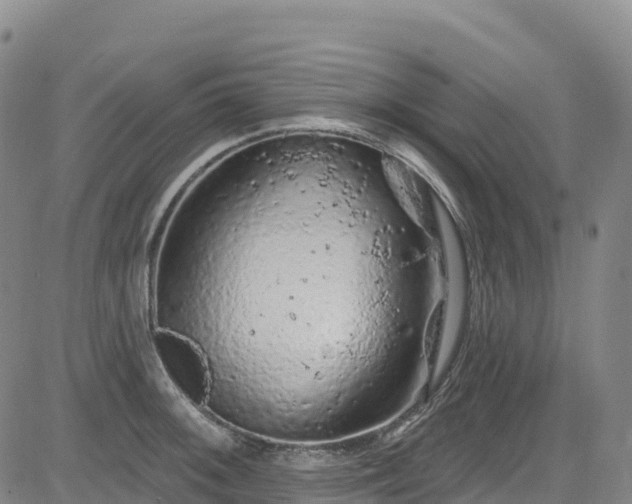 X0000085061092200703121519