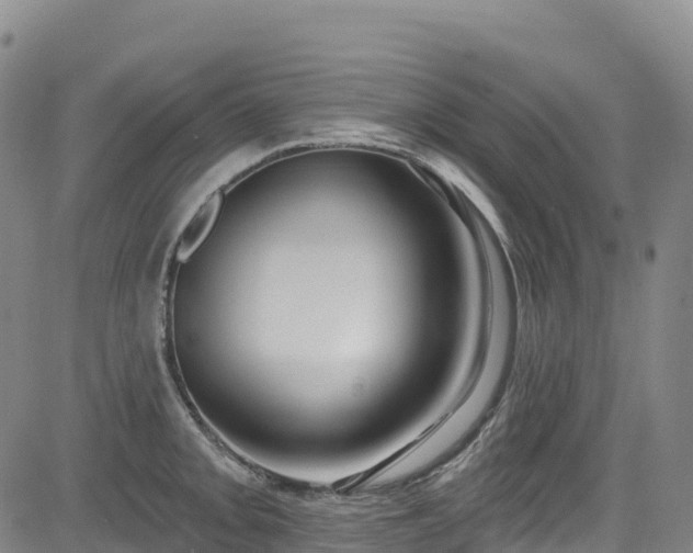 X0000085061093200703121519