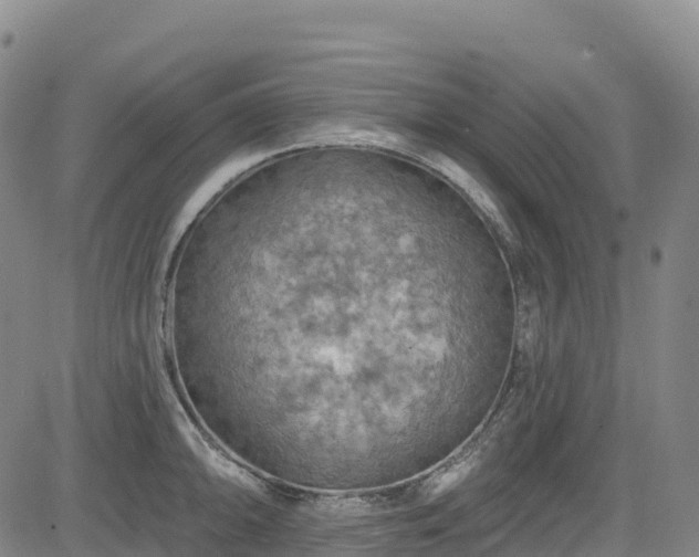 X0000085061094200703121518