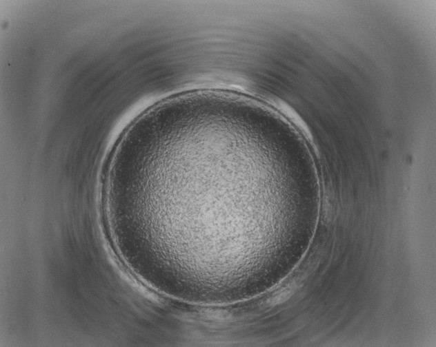 X0000085061096200703121518