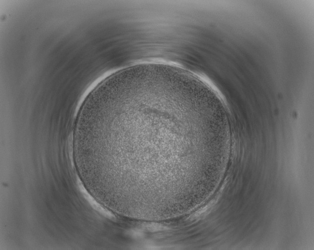 X0000085061100200703121518