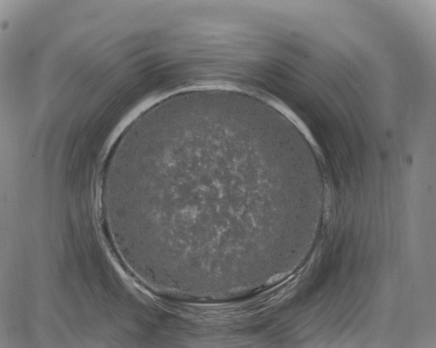 X0000085061101200703121518