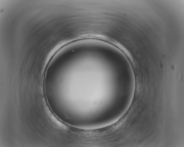 X0000085061102200703121518