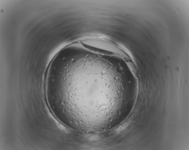 X0000085061103200703121518