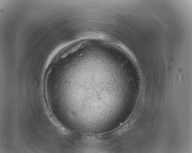 X0000085061104200703121518