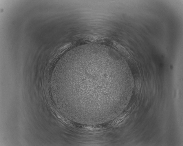 X0000085061105200703121518