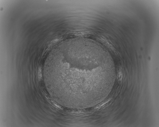 X0000085061106200703121518