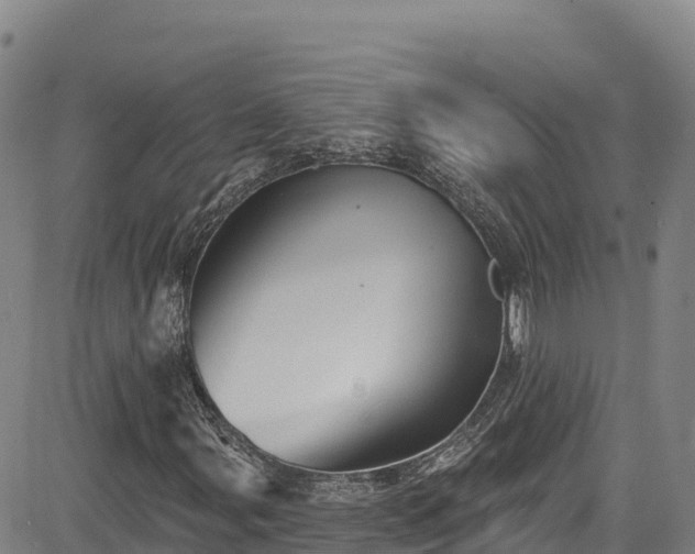 X0000085061107200703121518