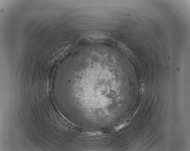 X0000085061108200703121518